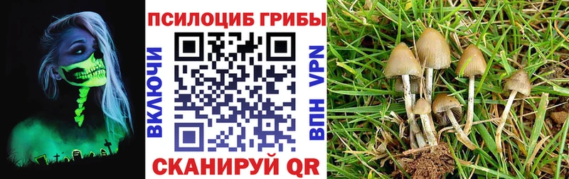 Галлюциногенные грибы GOLDEN TEACHER Котово