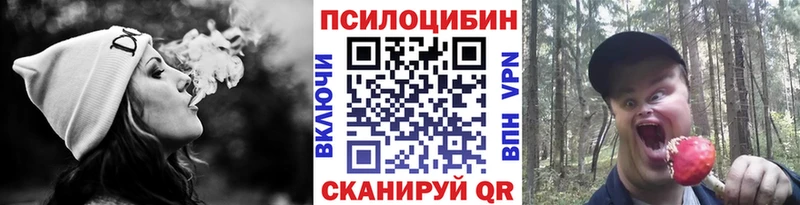 Псилоцибиновые грибы Psilocybine cubensis Котово